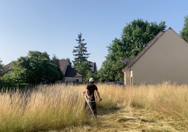 Débroussailage à Soisy-sur-Seine et aux alentours.