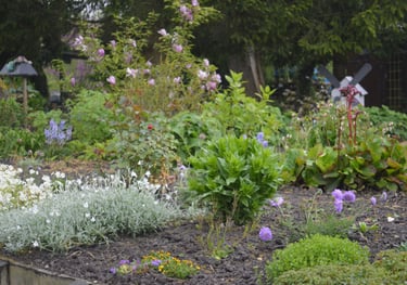 Désherbage à Soisy-sur-Seine et aux alentours.