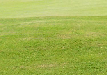 Tonte de pelouses à Soisy-sur-Seine et aux alentours.
