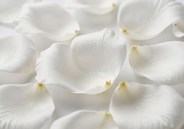 An artistic close-up of pure white silk petals, symbolizing purity and new beginnings, with soft shadows and a premium textile feel.