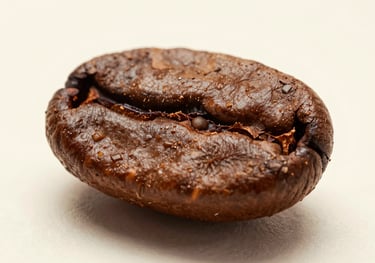 Macro photography of light-roasted specialty beans showcasing the natural center cut and texture. Shot on a clean cream-colored background.