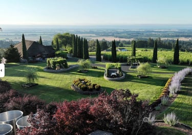 Visit White Rose Winery and Estate Vineyard 