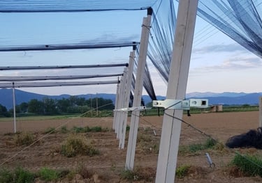 Υλικά αντιστήριξης για κατασκευαστικά έργα