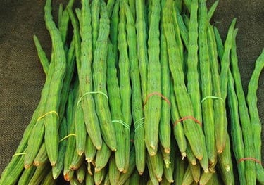 EXPORT of Indian Drumstick Moringa IMPORT to Qatar KSA Oman UAE KUWAIT BAHRAIN SRI LANKA MALDIVE SOUTH AFRICA  MALAYSIA