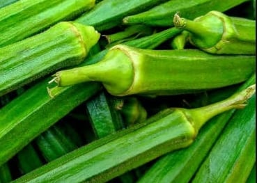 EXPORT of Indian Okra Lady Finger IMPORT to Qatar KSA Oman UAE KUWAIT BAHRAIN SRI LANKA MALDIVE SOUTH AFRICA  MALAYSIA