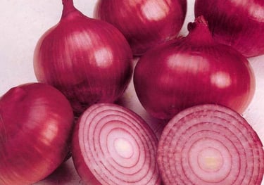 EXPORT of Indian Onion IMPORT to Qatar KSA Oman UAE KUWAIT BAHRAIN SRI LANKA MALDIVE SOUTH AFRICA  MALAYSIA