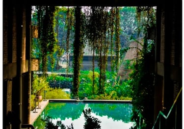 Herramientas de autoconocimiento: Biodescodificación, Diseño Humano y Memoria Celular