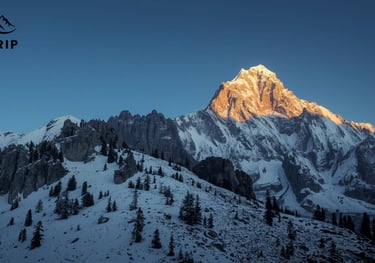 Kedarkantha Trek Guide | Himtrip