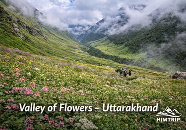 Valley of Flowers Trek - Himtrip