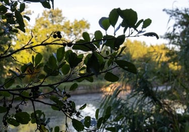 Behind a Bridge - When Photographs Speak by Ormulyce
