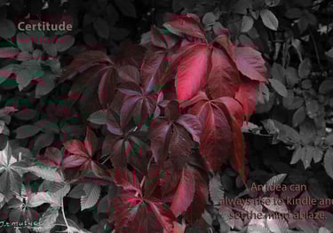 Certitude - composition by Ormulyce  - writer poet photographer