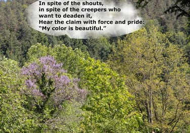 Color Claim  - Journey in Poetry by Ormulyce