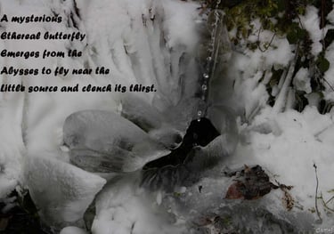 Ethereal Butterfly by Ormulyce