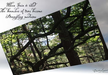 Medusa by Ormulyce - writer poet photographer