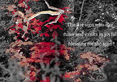 Fire Sign - composition by Ormulyce  - writer poet photographer