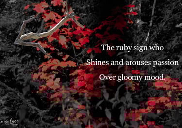 Ruby Sign - composition by Ormulyce  - writer poet photographer