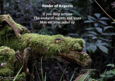 Snake of Regrets by Ormulyce - writer poet photographer
