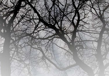 Tousled Hair - Journey in Poetry by Ormulyce