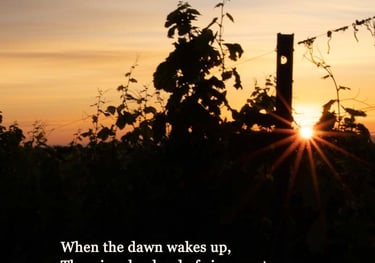 Unsung  - Journey in Poetry by Ormulyce