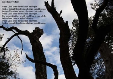 Wooden Trident by Ormulyce  - writer poet photographer