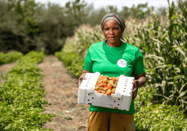 a woman holding a box of tomatoes in a field