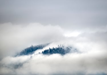 paysage d'hiver des Vosges - photo vincent ganaye