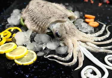 Cuttlefish-Seafood-Export