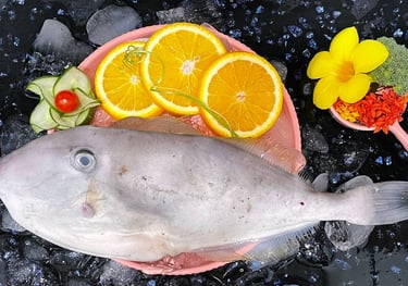 Frozen-Leather-jacket-fish