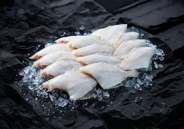 Frozen-Proceed-Leatherjacket-Fish