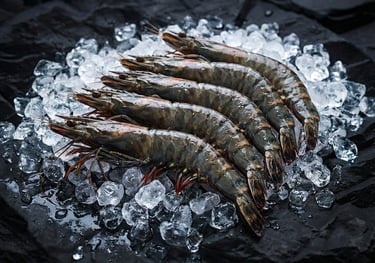 Frozen-Black Tiger Shrimp-Black Tiger Prawn-Penaeus Monodon