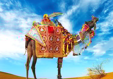 Camel ride at Jaisalmer desert