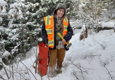 property borders, land surveying, northwest