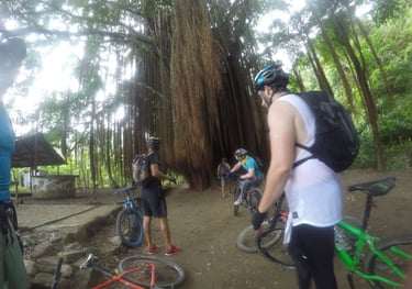 Bike tour bicicleta Sierra Nevada de Santa Marta