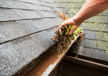 a hand cleans a gutter from fallen leaves