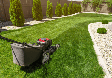 a lawn mower mowering in a backyard