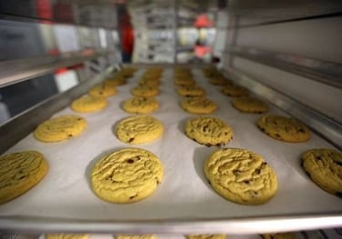 Freshly baked chocolate chip cookies cooling on a parchment-lined baking sheet in a bakery rack.