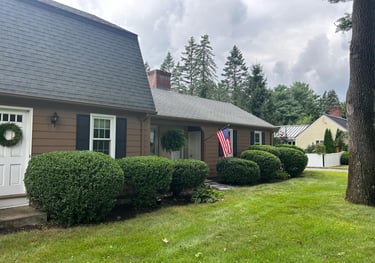 Hedge Bush Trimming