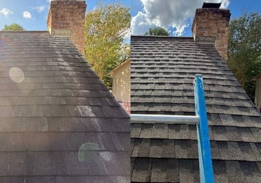before and after roof soft washing