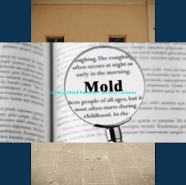 Ottawa Mold Removal-Orleans-Kanata