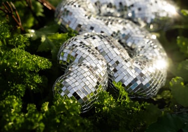 Disco Squigglies - Bruna Souza