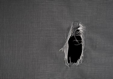 WINDOW SCREEN REPAIR