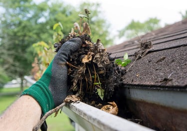GUTTER CLEANING MEDFORD OREGON