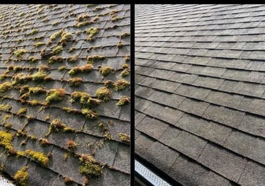 ROOF MOSS REMOVAL