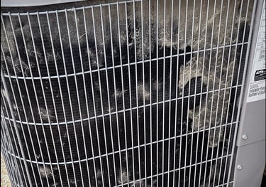 AC unit cleaning