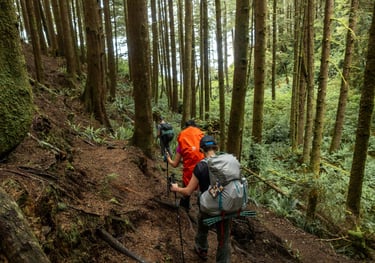 hikers on the BCMC trail