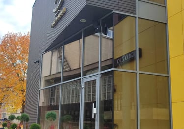 Veidrodinė ir matine plevele, apsaugine plevele