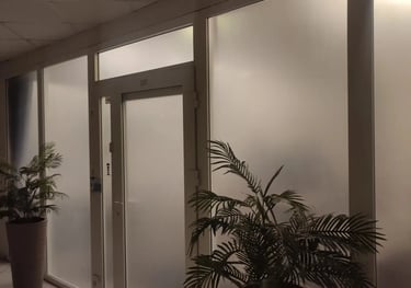 Veidrodinė ir matine plevele, apsaugine plevele