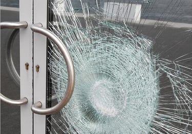 Apsaugine plevele nuo staigios vagystes ir stiklo duzio