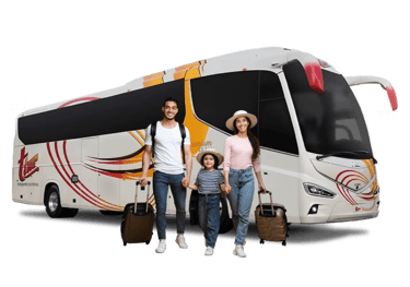 Charter a vallarta desde morelia