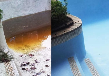 Brush-On Blue Pool Coating — seamless, high-performance waterproof finish for residential and commercial pools in Botswana